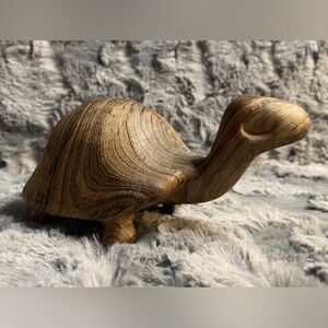 Turtle Wood Collectible Set of 2